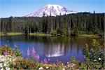 Washington